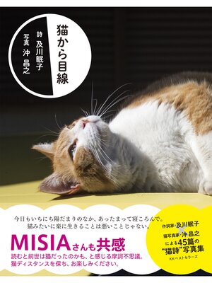 cover image of 猫から目線